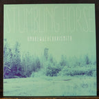 Stumbling Horse (vinyl) Andrew and Zachari Smith