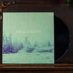 Stumbling Horse (vinyl) Andrew and Zachari Smith