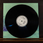 Stumbling Horse (vinyl) Andrew and Zachari Smith